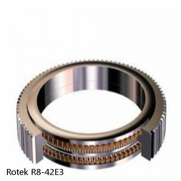 R8-42E3 Rotek Slewing Ring Bearings