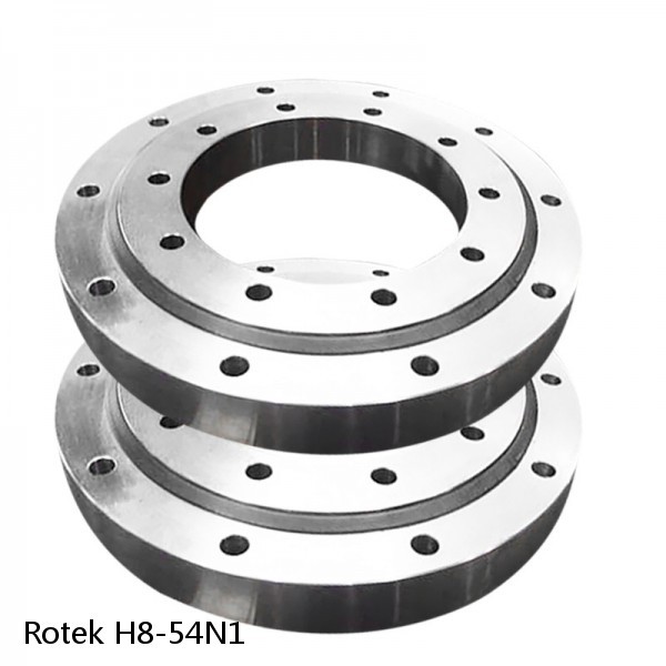 H8-54N1 Rotek Slewing Ring Bearings