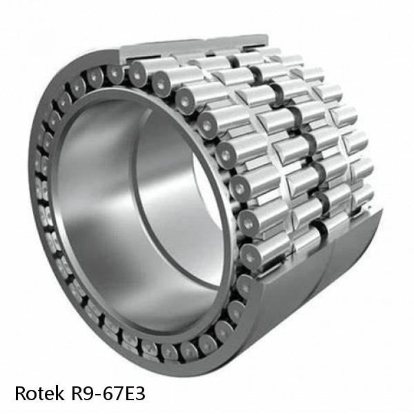 R9-67E3 Rotek Slewing Ring Bearings