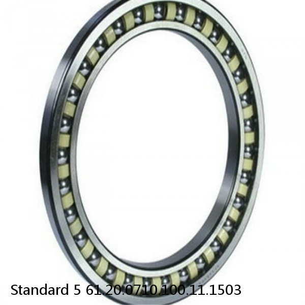 61.20.0710.100.11.1503 Standard 5 Slewing Ring Bearings