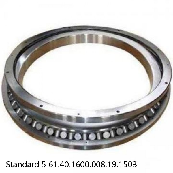 61.40.1600.008.19.1503 Standard 5 Slewing Ring Bearings