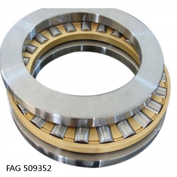FAG 509352 DOUBLE ROW TAPERED THRUST ROLLER BEARINGS
