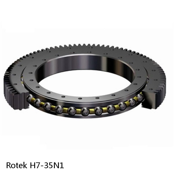 H7-35N1 Rotek Slewing Ring Bearings