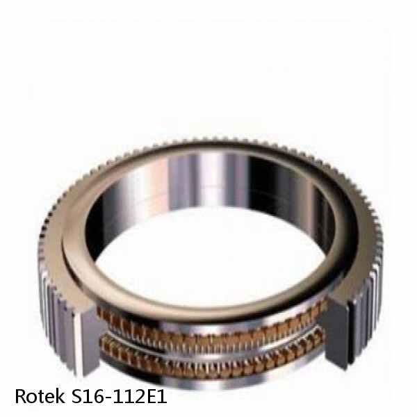 S16-112E1 Rotek Slewing Ring Bearings