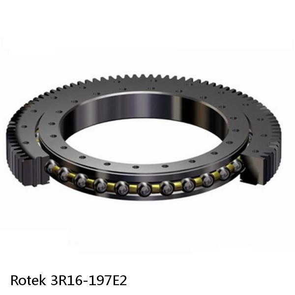 3R16-197E2 Rotek Slewing Ring Bearings