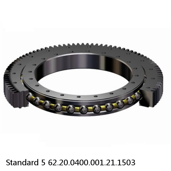 62.20.0400.001.21.1503 Standard 5 Slewing Ring Bearings #1 small image