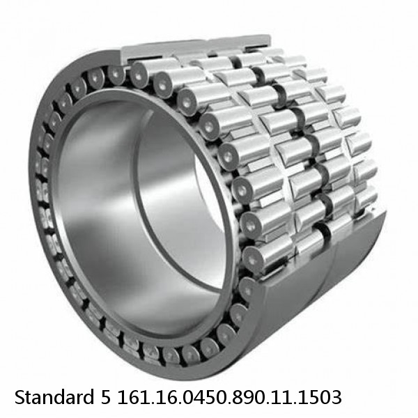 161.16.0450.890.11.1503 Standard 5 Slewing Ring Bearings