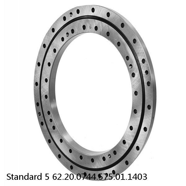 62.20.0744.575.01.1403 Standard 5 Slewing Ring Bearings #1 small image