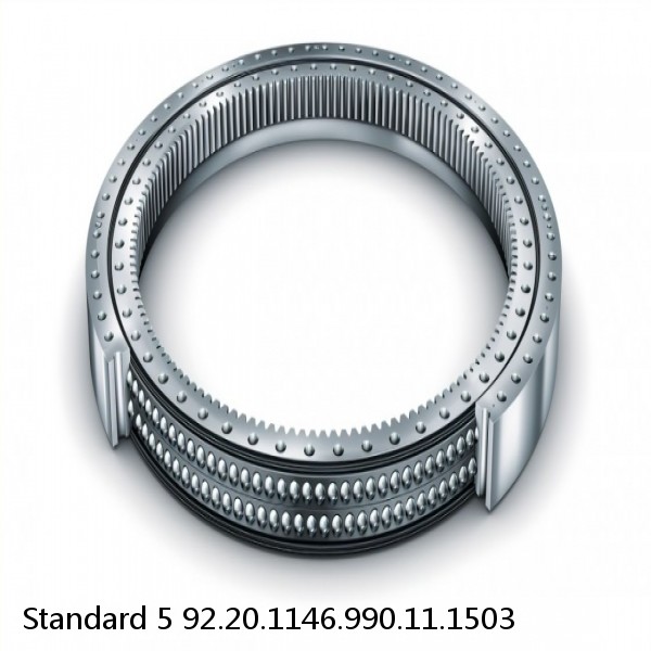 92.20.1146.990.11.1503 Standard 5 Slewing Ring Bearings #1 small image