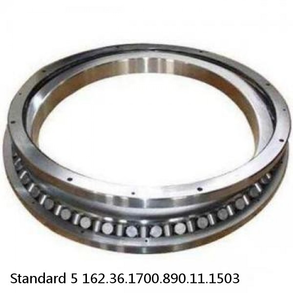 162.36.1700.890.11.1503 Standard 5 Slewing Ring Bearings #1 small image