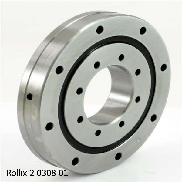 2 0308 01 Rollix Slewing Ring Bearings #1 small image