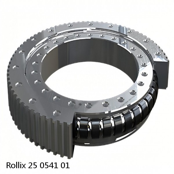 25 0541 01 Rollix Slewing Ring Bearings