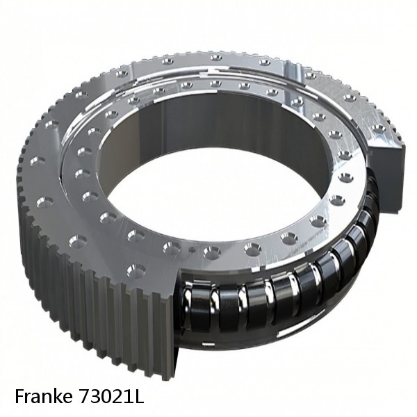 73021L Franke Slewing Ring Bearings