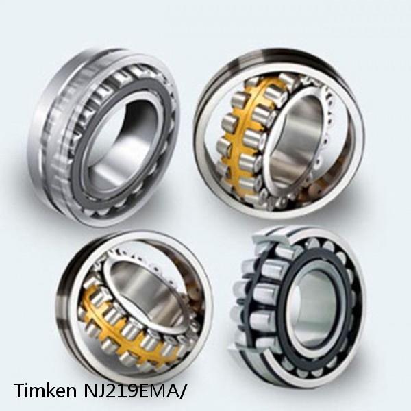 NJ219EMA/ Timken Cylindrical Roller Bearing #1 small image