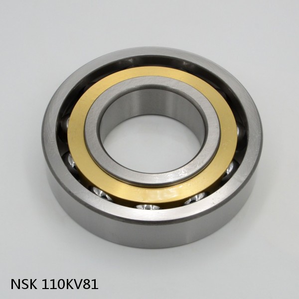 110KV81 NSK Four-Row Tapered Roller Bearing