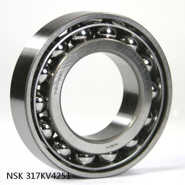 317KV4251 NSK Four-Row Tapered Roller Bearing #1 small image