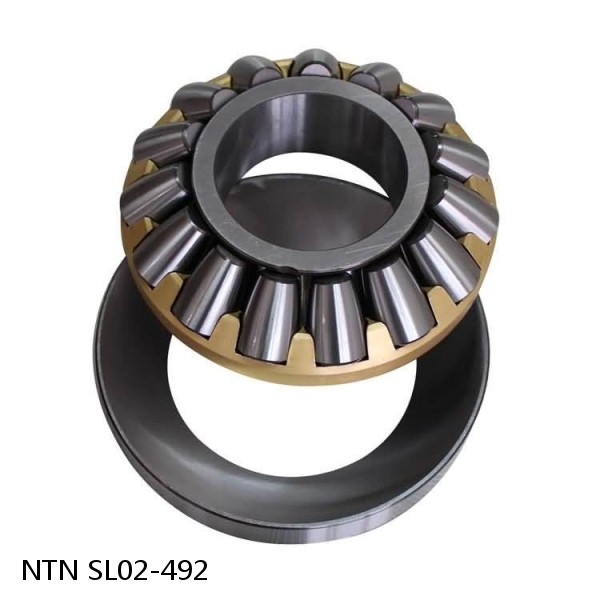 SL02-492 NTN Cylindrical Roller Bearing #1 small image