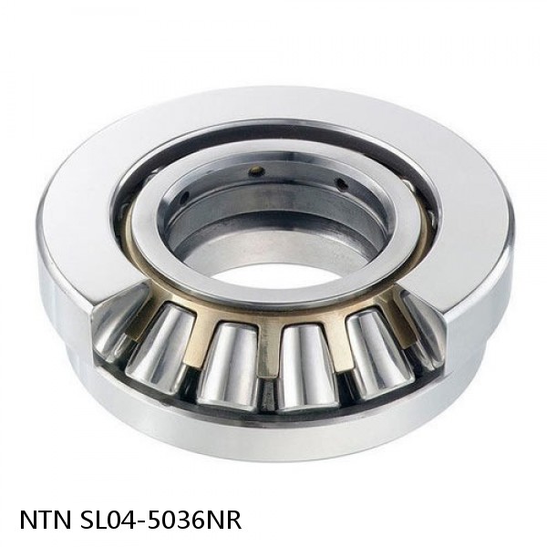 SL04-5036NR NTN Cylindrical Roller Bearing #1 small image