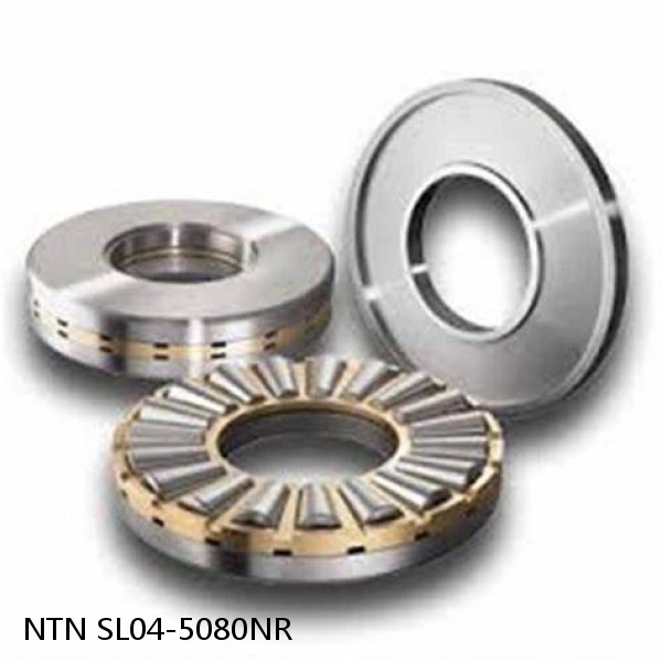 SL04-5080NR NTN Cylindrical Roller Bearing