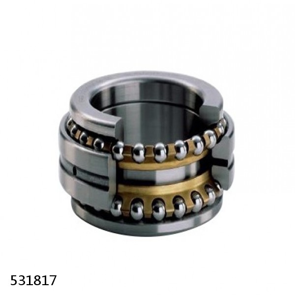 531817 Cylindrical Roller Bearings #1 small image