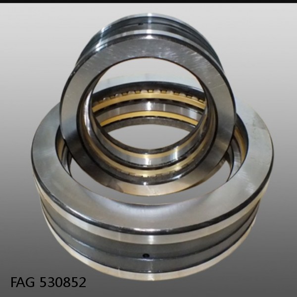 FAG 530852 DOUBLE ROW TAPERED THRUST ROLLER BEARINGS