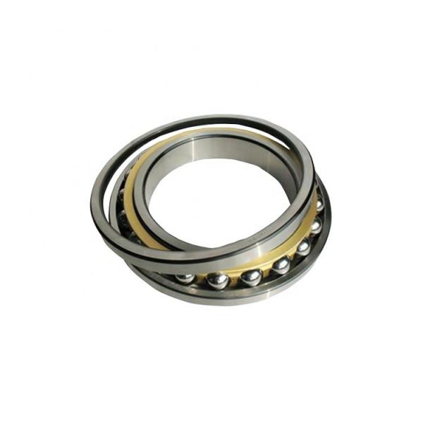 FAG NU305-E-TVP2-C3  Cylindrical Roller Bearings #1 image