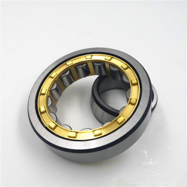 FAG N306-E-TVP2-C3  Cylindrical Roller Bearings #1 image