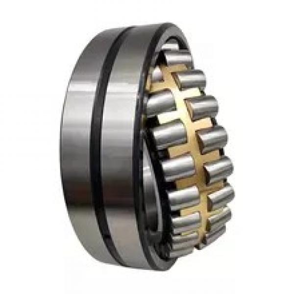FAG NU305-E-TVP2-C3  Cylindrical Roller Bearings #2 image