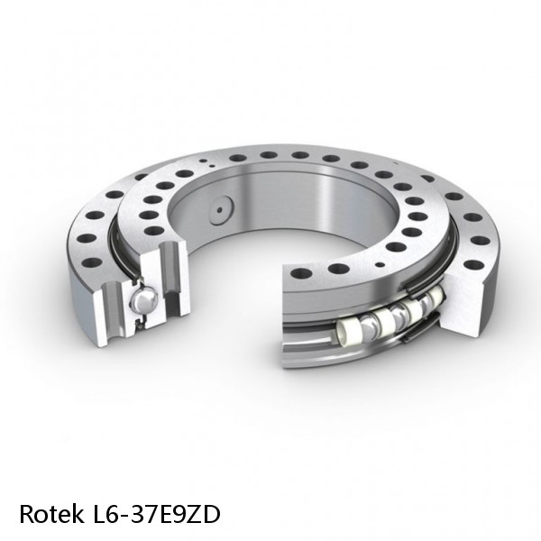 L6-37E9ZD Rotek Slewing Ring Bearings #1 image