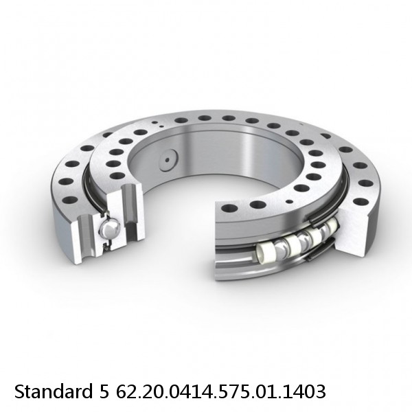 62.20.0414.575.01.1403 Standard 5 Slewing Ring Bearings #1 image