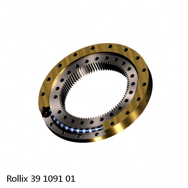 39 1091 01 Rollix Slewing Ring Bearings #1 image