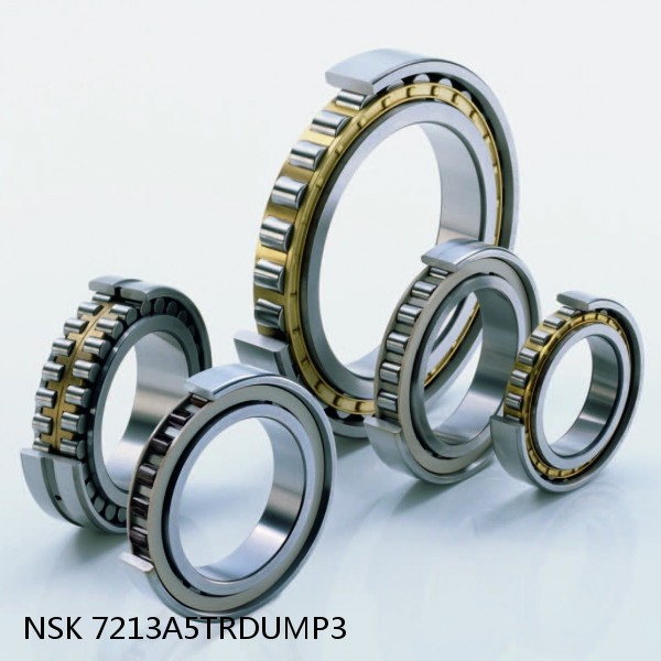 7213A5TRDUMP3 NSK Super Precision Bearings #1 image