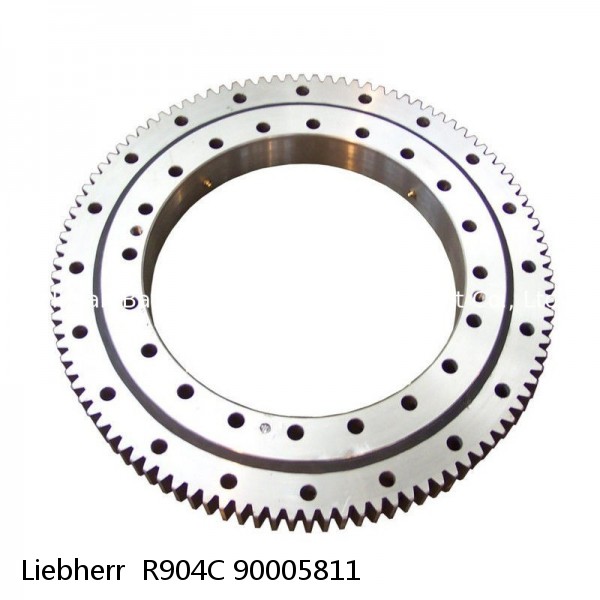 90005811 Liebherr  R904C Slewing Ring #1 image