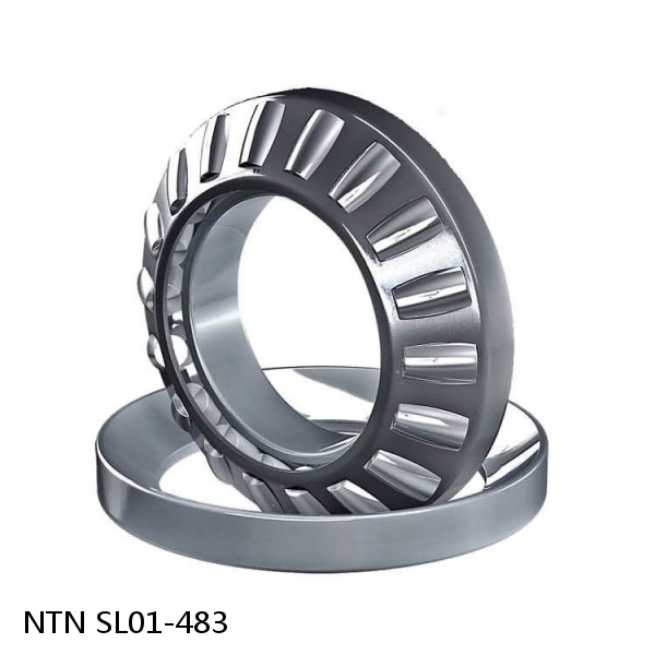 SL01-483 NTN Cylindrical Roller Bearing #1 image