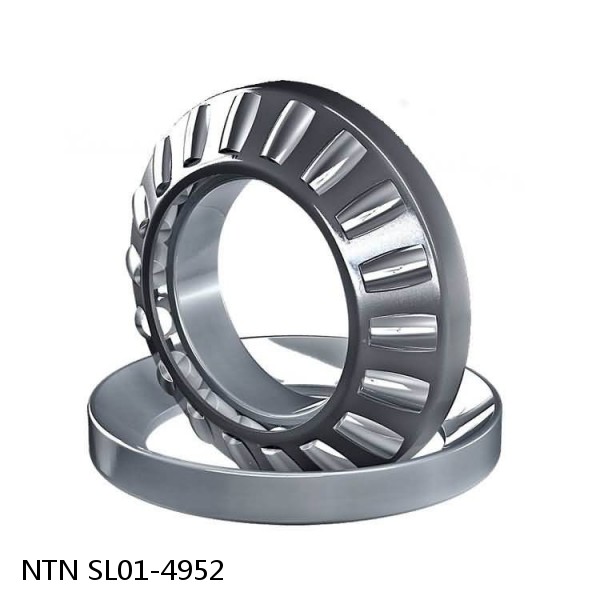 SL01-4952 NTN Cylindrical Roller Bearing #1 image