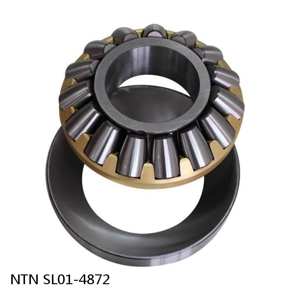 SL01-4872 NTN Cylindrical Roller Bearing #1 image